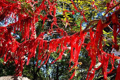 《牧场物语：橄榄镇》NS＆PC版免费更新上线 新任务事件登场